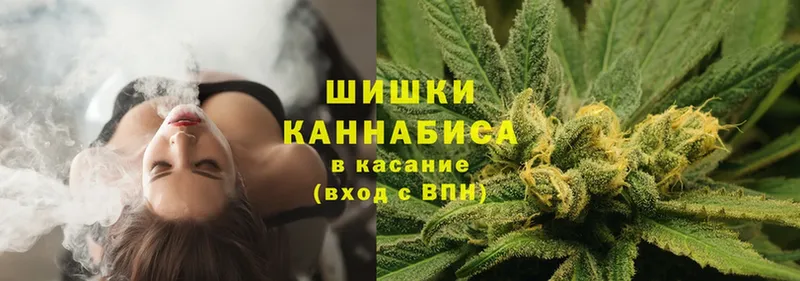 купить наркоту  Ржев  KRAKEN зеркало  Бошки марихуана White Widow 